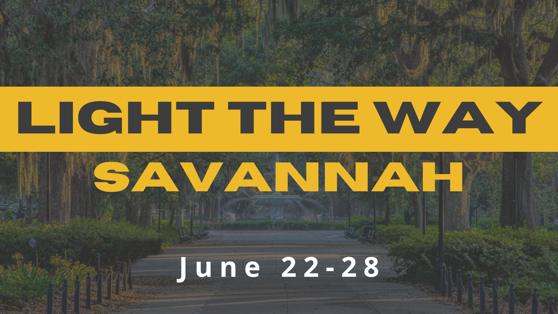 Savannah Light the Way slide