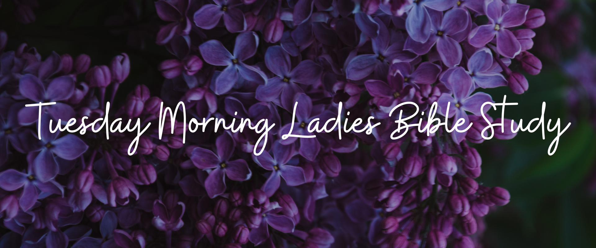 Tuesday Morning Ladies Bible Study-midweek website